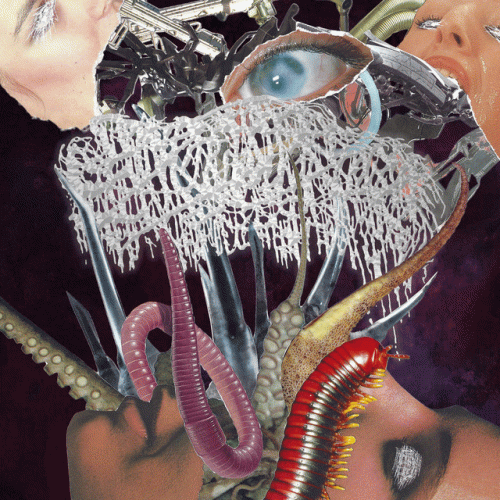 Sanguisugabogg : Face Ripped Off